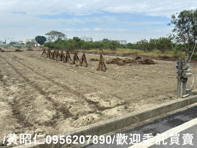 善化農地-8