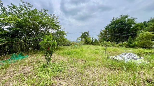 新竹橫山農地-11