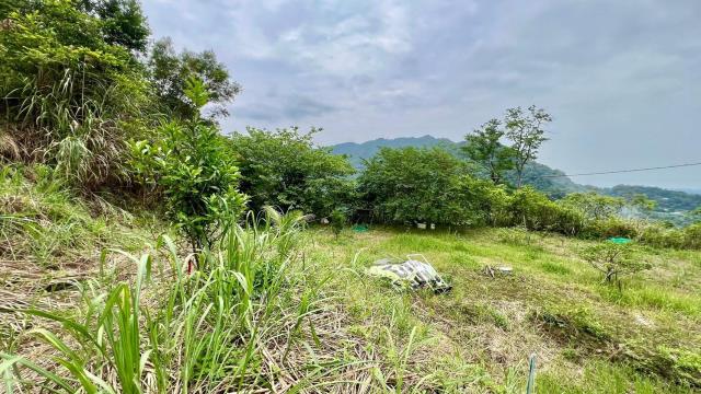 新竹橫山農地-6