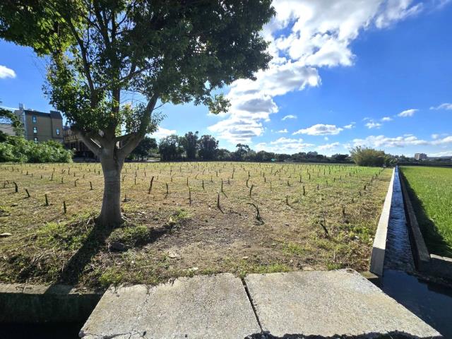 桃園平鎮農地-9