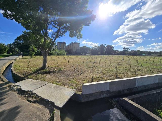 桃園平鎮農地-8