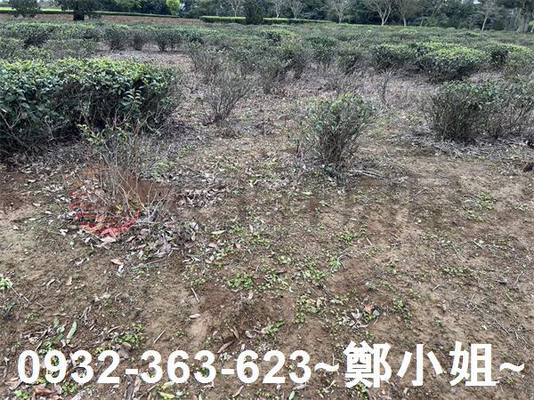 桃園龍潭農地-1