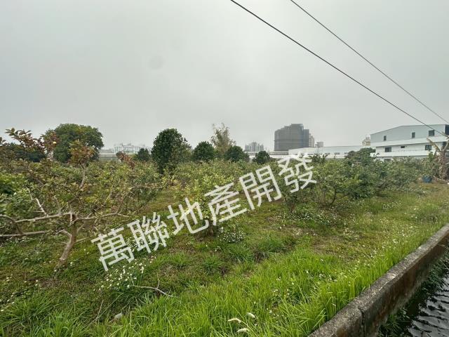 潭子農地-3