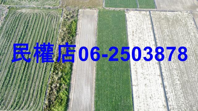 新市農地-4