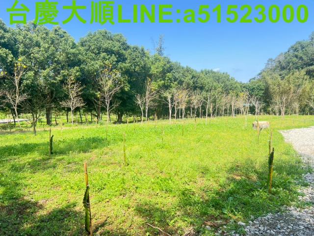 北埔低總價小坪數平坦農地