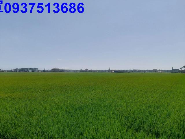 宜蘭壯圍農地-0