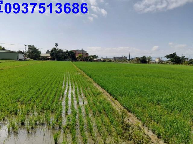 宜蘭壯圍農地-0