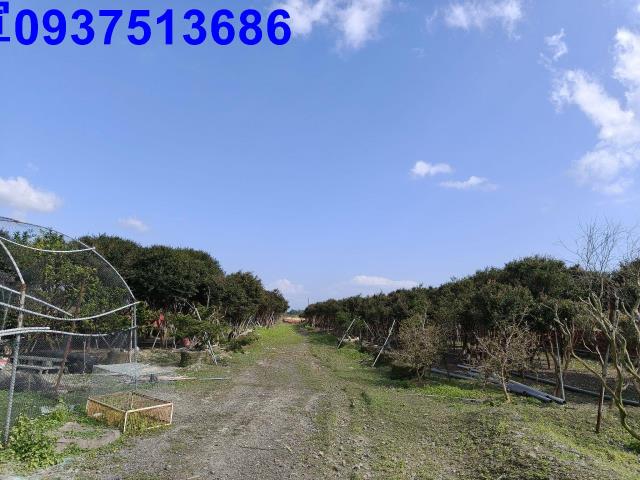 宜蘭礁溪農地-12