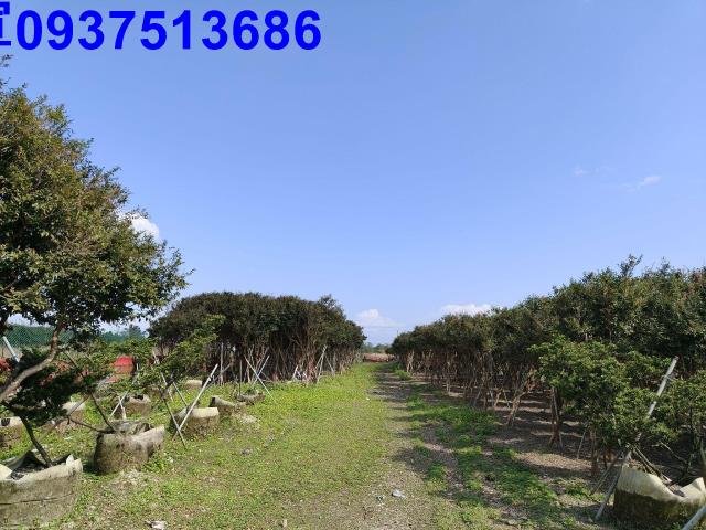 宜蘭礁溪農地-2