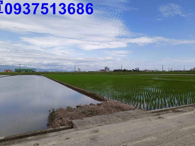 宜蘭壯圍農地-3