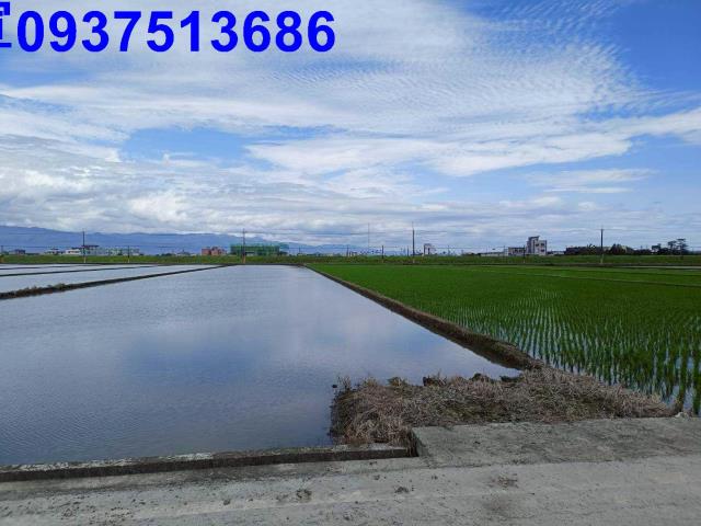 宜蘭壯圍農地-4