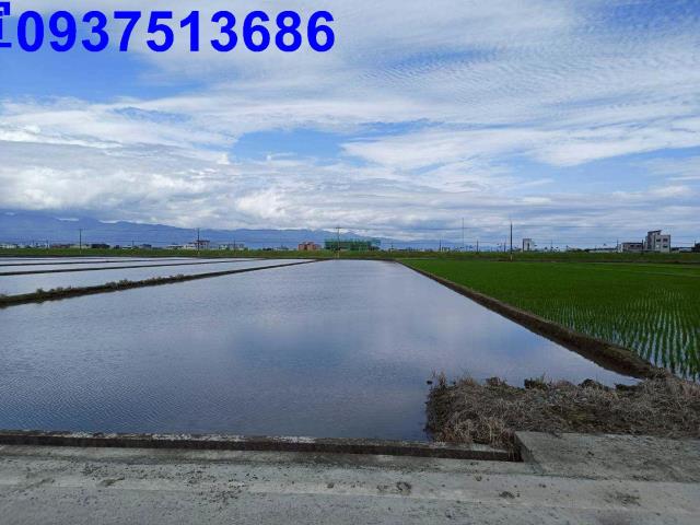 宜蘭壯圍農地-5