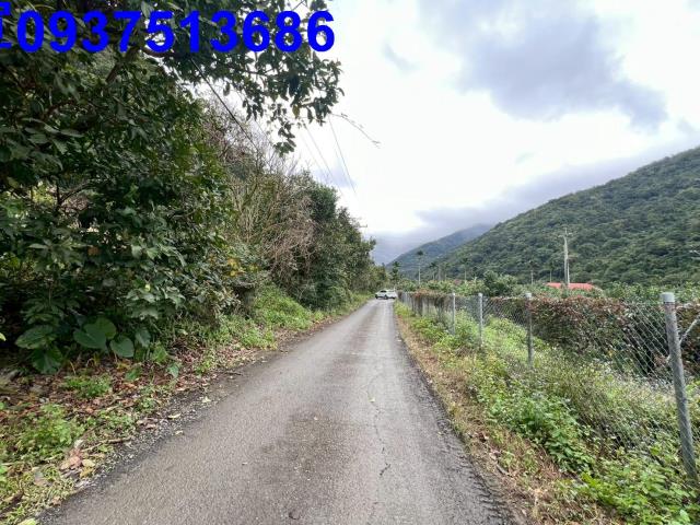 宜蘭員山農地-9