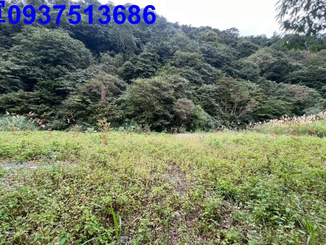 宜蘭員山農地-0