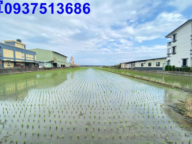 宜蘭壯圍農地-0