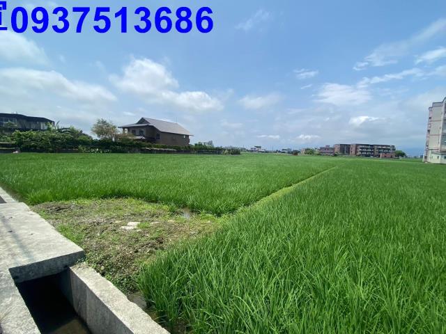 宜蘭壯圍農地-3