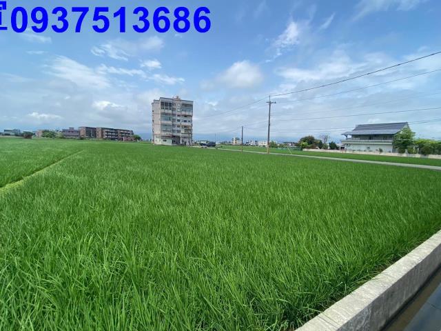 宜蘭壯圍農地-1