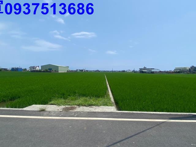 宜蘭壯圍農地-7