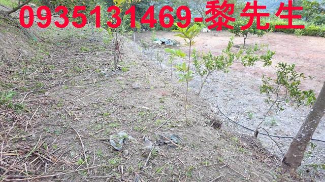 橫山田洋街視野景觀農地