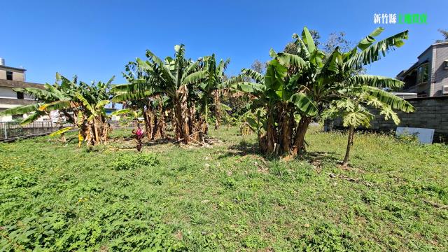 新竹橫山農地-4