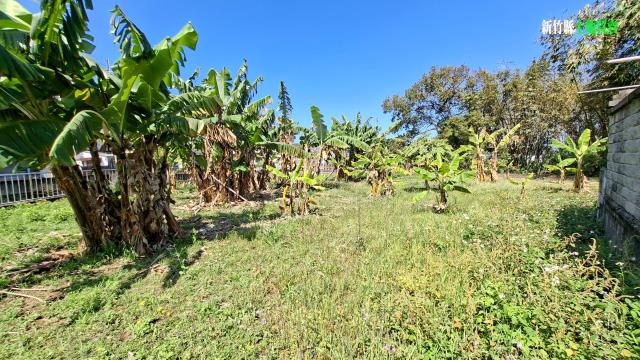 新竹橫山農地-5