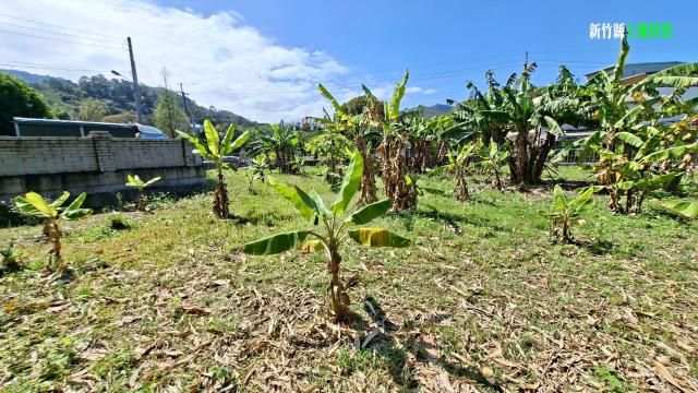 新竹橫山農地-6