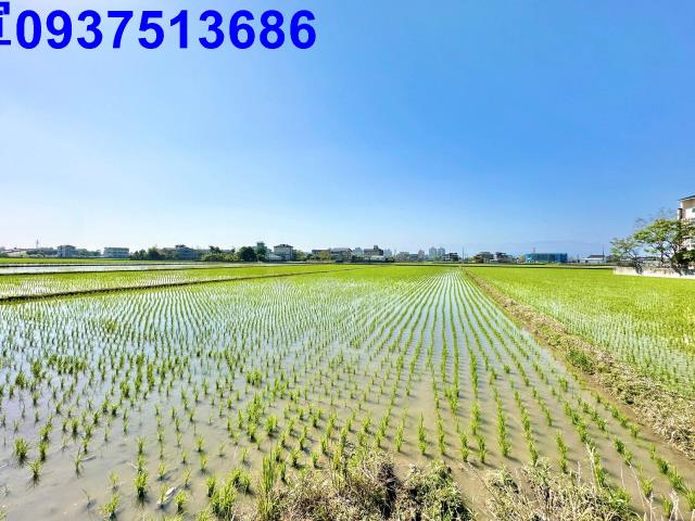 宜蘭宜蘭市農地-0