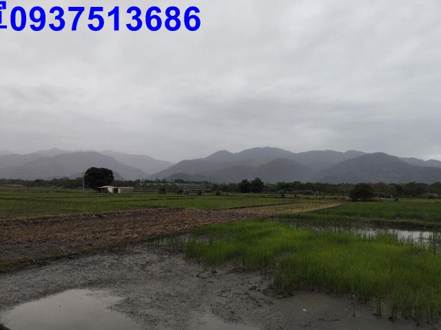 宜蘭三星農地-14