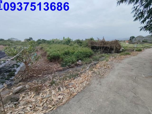 宜蘭三星農地-2