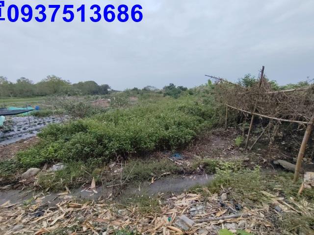 宜蘭三星農地-5