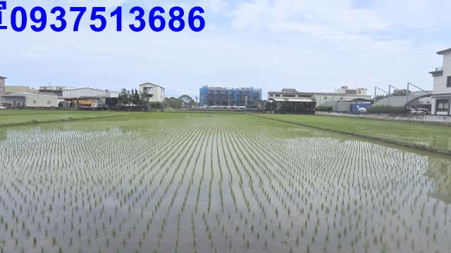 宜蘭宜蘭市農地-0