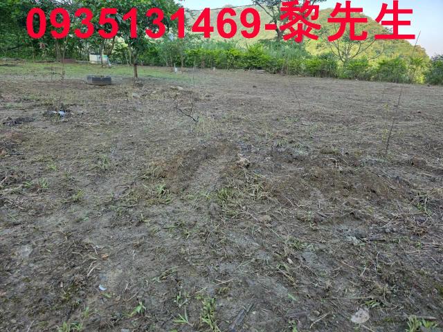 新竹橫山農地-9