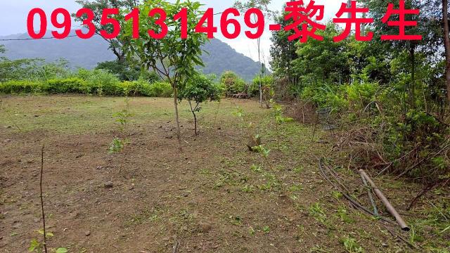 新竹橫山農地-4