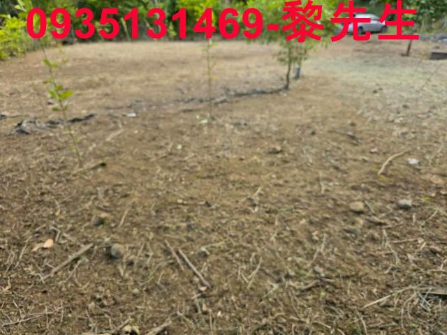 新竹橫山農地-7