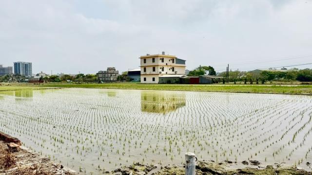 新竹竹北農地-9