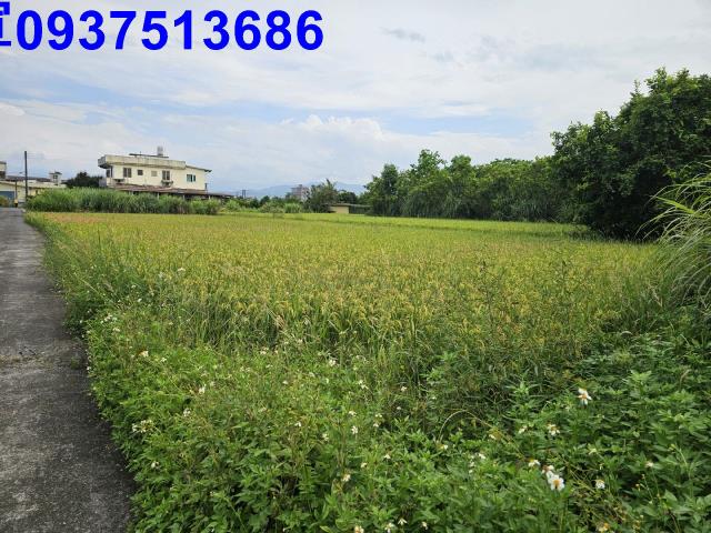 宜蘭員山農地-0