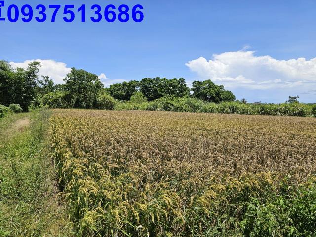 宜蘭員山農地-3