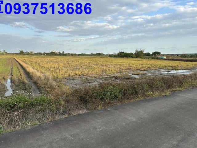 宜蘭壯圍農地-9