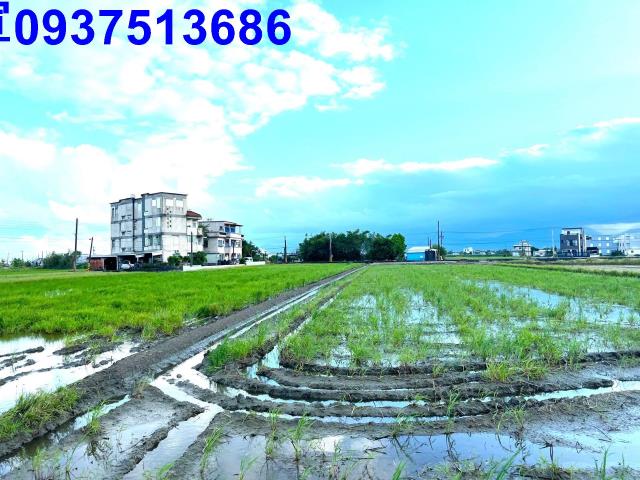 宜蘭壯圍農地-0