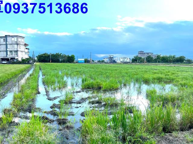 宜蘭壯圍農地-4