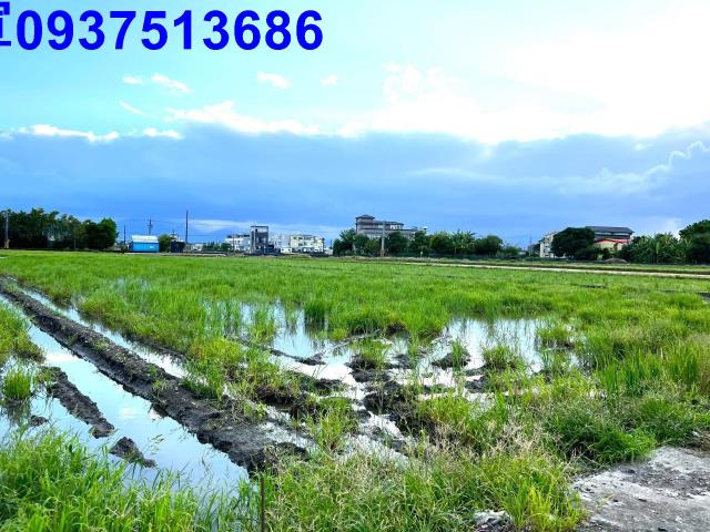 宜蘭壯圍農地-8