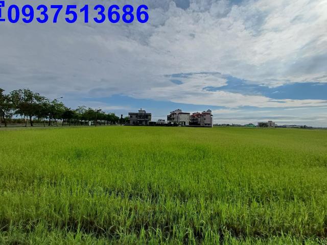 宜蘭壯圍農地-5