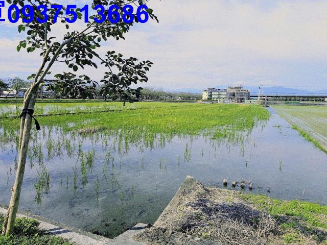 宜蘭壯圍農地-14