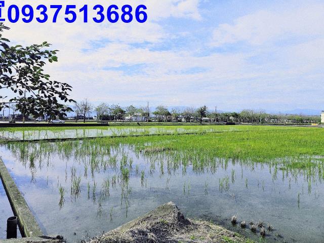 宜蘭壯圍農地-6