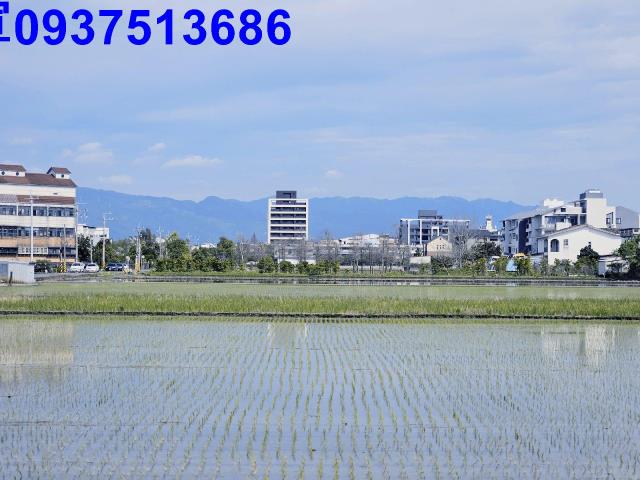 宜蘭壯圍農地-8