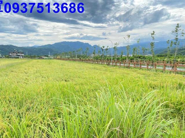 宜蘭宜蘭市農地-3