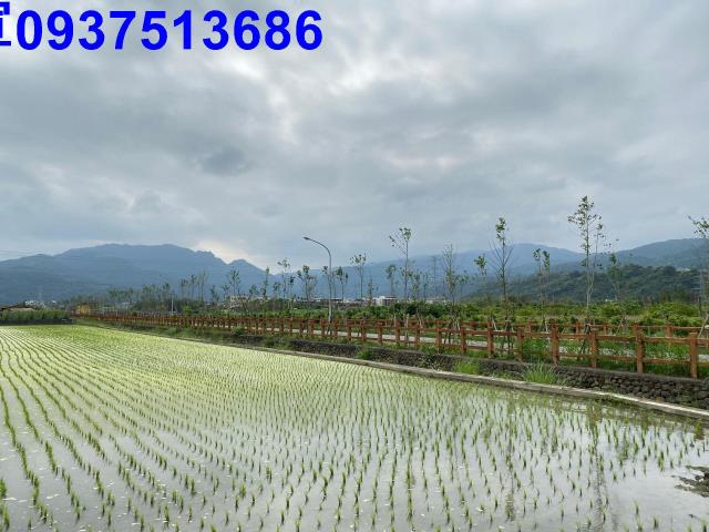 宜蘭宜蘭市農地-4