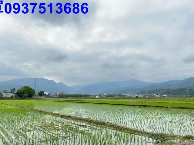 宜蘭宜蘭市農地-5