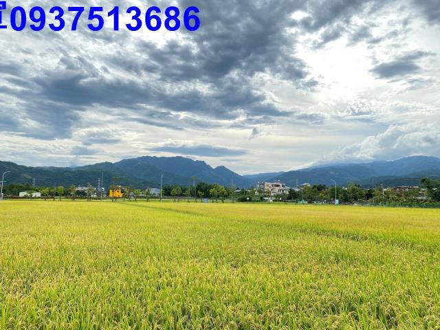 宜蘭宜蘭市農地-6