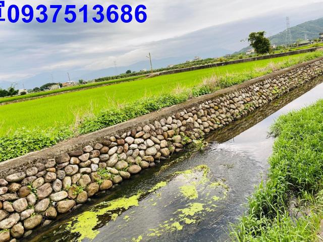 宜蘭宜蘭市農地-7